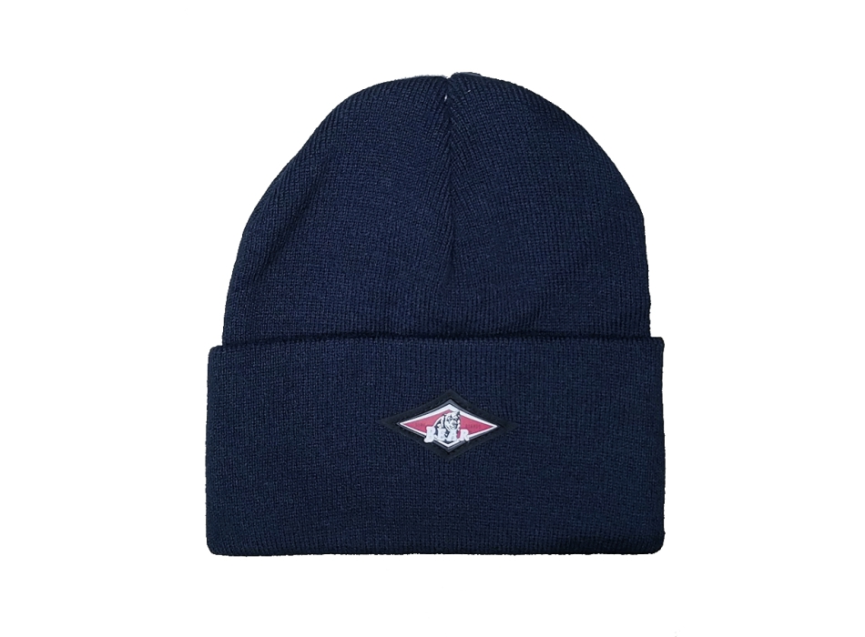 BEAR SURFBOARDS BEANIE SKY CAPTAIN