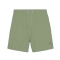 BEAR SURFBOARDS ICON VOLLEY SHORTS SHADOW