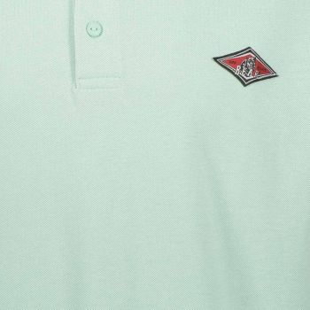 BEAR SURFBOARDS POLO SMALL LOGO SEAGRASS