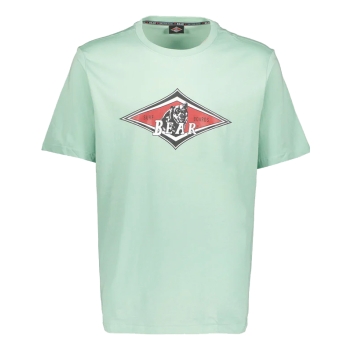BEAR SURFBOARDS T-SHIRT LICHEN
