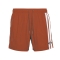 BEAR SURFBOARDS VOLLEY STRIPES SHORTS LANGOUSTINE