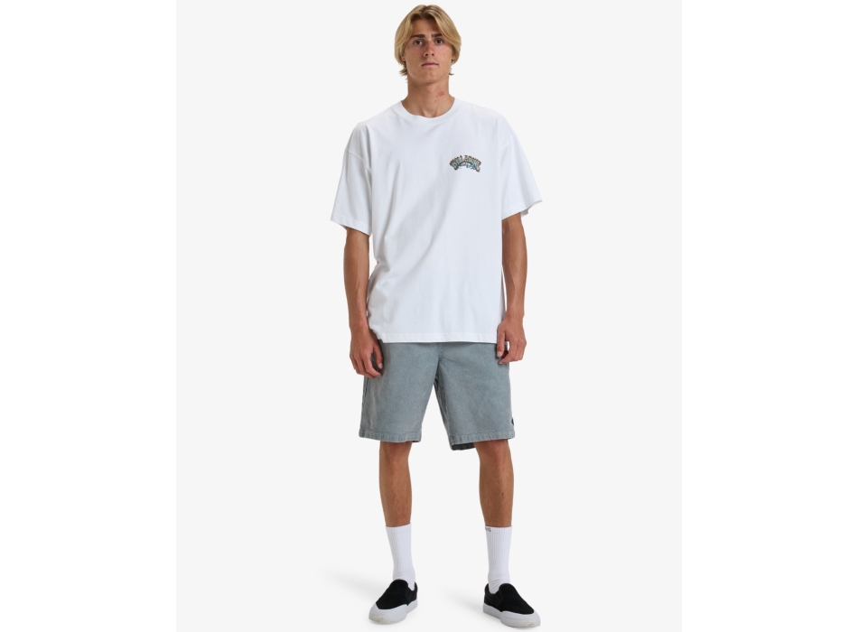BILLABONG LORD ARCH T-SHIRT WHITE