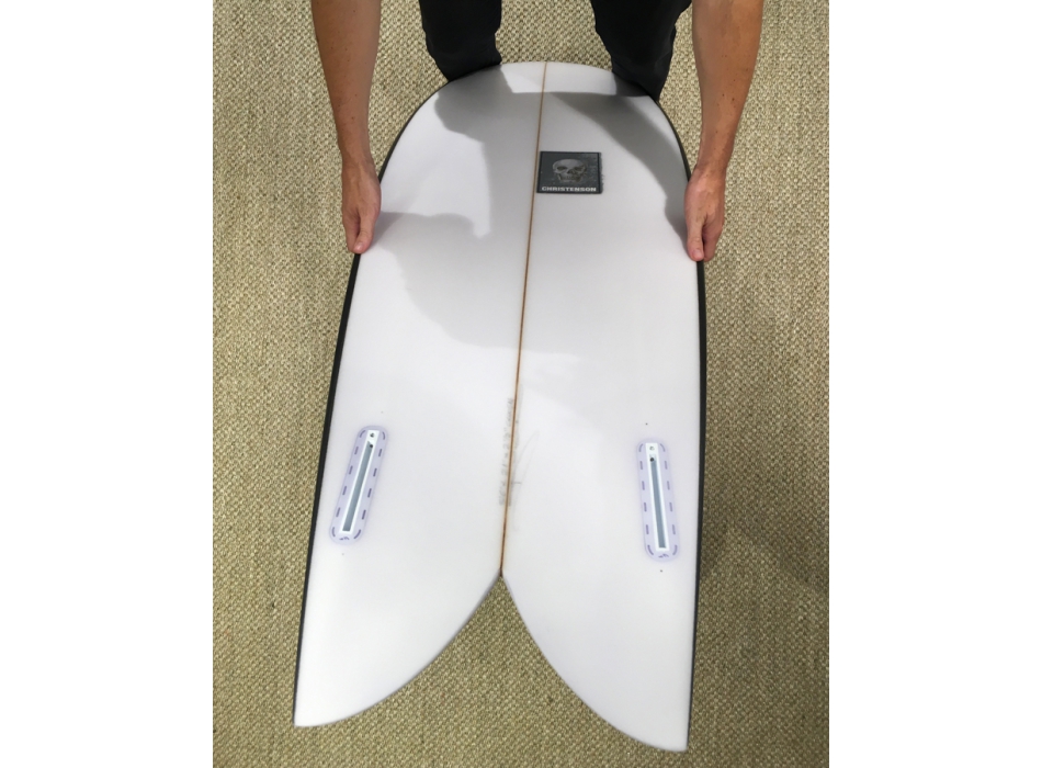 Christenson 2025 fish dimensions