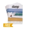 DAMP FREE MAGAZINE SPRING 2017