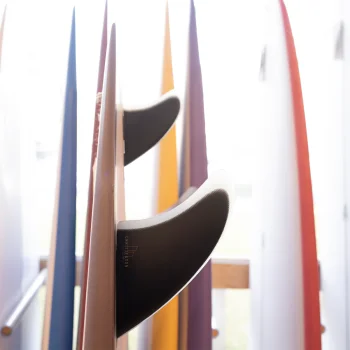 FCS II PINNE CHRISTENSON PG TWIN +1 FIN SET