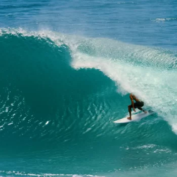 ENDORFINS PINNE KSR RAKE 3 FIN SET SINGLE TAB MEDIUM