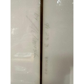 FIREWIRE SINGLETON 9'4'' LONGBOARD HELIUM CORE (SECOND HAND)