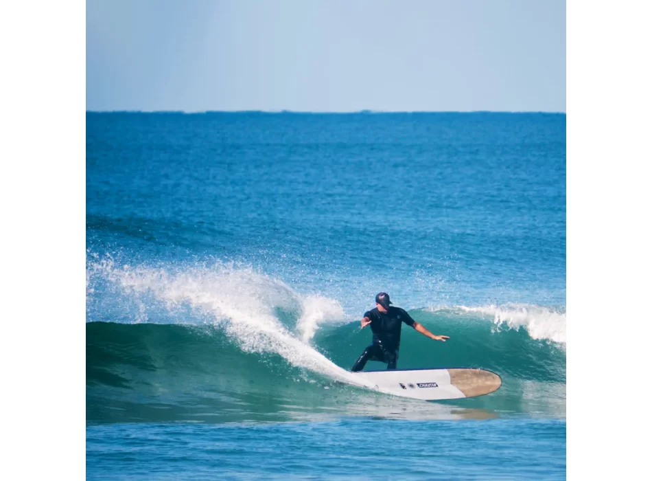 FIREWIRE SPECIAL T LONGBOARD