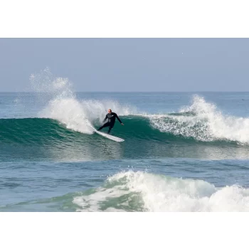 FIREWIRE TOO FISH VOLCANIC HELIUM ROB MACHADO SURFBOARDS FUTURES FINS