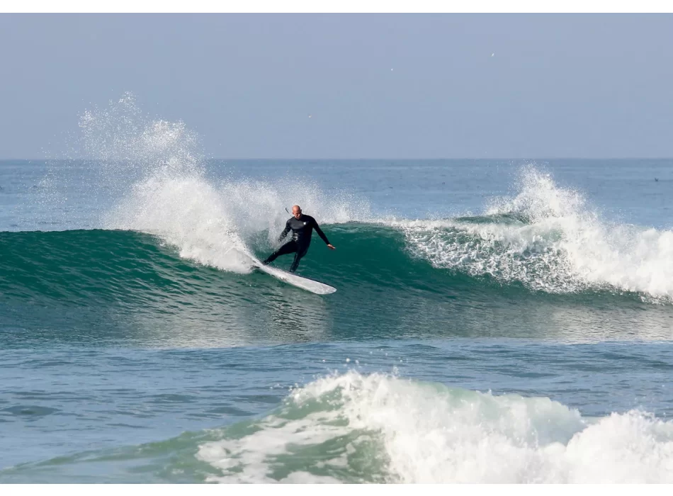 FIREWIRE TOO FISH VOLCANIC HELIUM ROB MACHADO SURFBOARDS FUTURES FINS