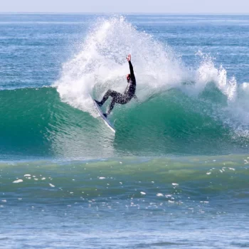FIREWIRE TOO FISH VOLCANIC HELIUM ROB MACHADO SURFBOARDS FUTURES FINS