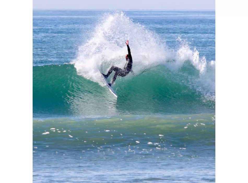 FIREWIRE TOO FISH VOLCANIC HELIUM ROB MACHADO SURFBOARDS FUTURES FINS
