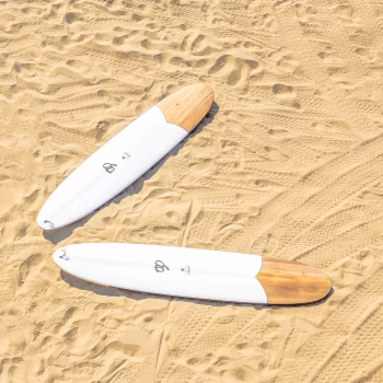 FIREWIRE THE GEM LONGBOARD