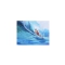 GANADU SURF ART ORIGINAL PAINTINGS BOTTOM 2 18X24