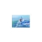 GANADU SURF ART ORIGINAL PAINTINGS OFF THE LIP 2 13X18