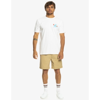 QUIKSILVER TAXER 18" ELASTICATED SHORTS PLAGE