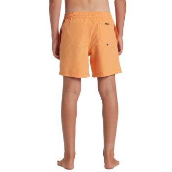 QUIKSILVER BOARDSHORT SOLID VOLLEY 15"