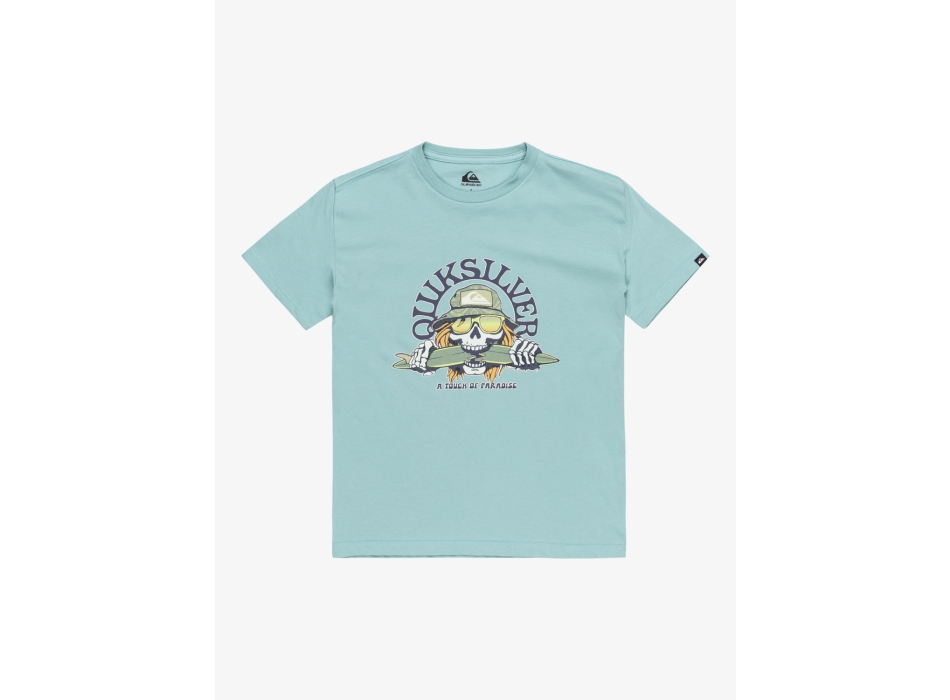 QUIKSILVER EV SKULL FEAST T-SHIRT FOR BOYS 8-16