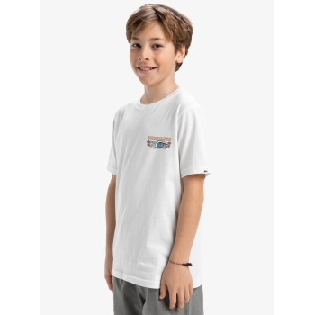 QUIKSILVER EVO AQUA WILD T-SHIRT FOR BOYS 8-16