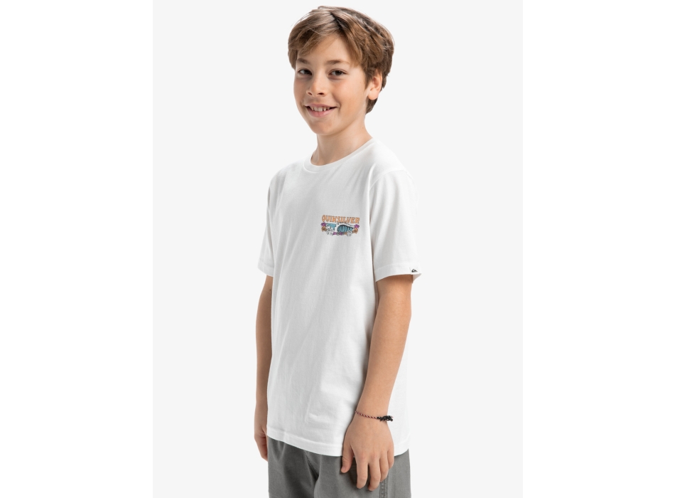 QUIKSILVER EVO AQUA WILD T-SHIRT FOR BOYS 8-16
