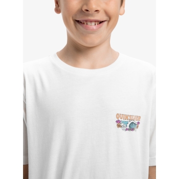 QUIKSILVER EVO AQUA WILD T-SHIRT FOR BOYS 8-16