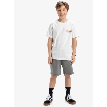 QUIKSILVER EVO AQUA WILD T-SHIRT FOR BOYS 8-16