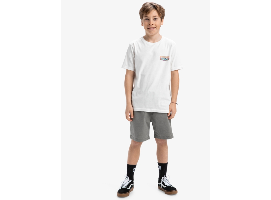 QUIKSILVER EVO AQUA WILD T-SHIRT FOR BOYS 8-16