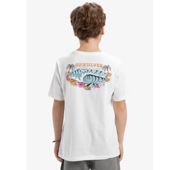 QUIKSILVER EVO AQUA WILD T-SHIRT FOR BOYS 8-16