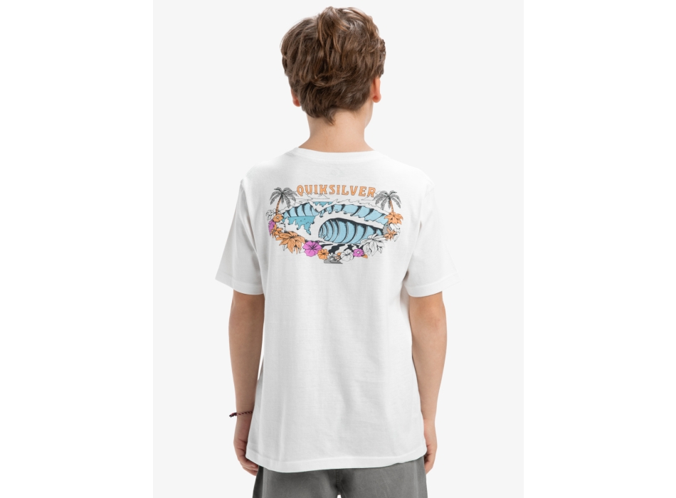 QUIKSILVER EVO AQUA WILD T-SHIRT FOR BOYS 8-16