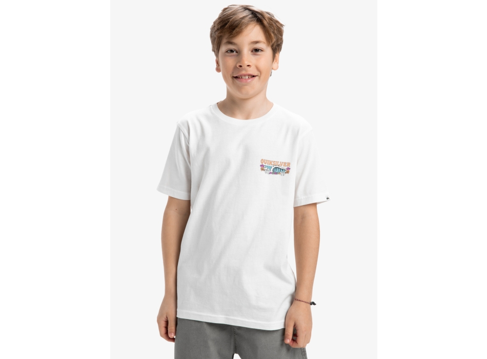 QUIKSILVER EVO AQUA WILD T-SHIRT FOR BOYS 8-16