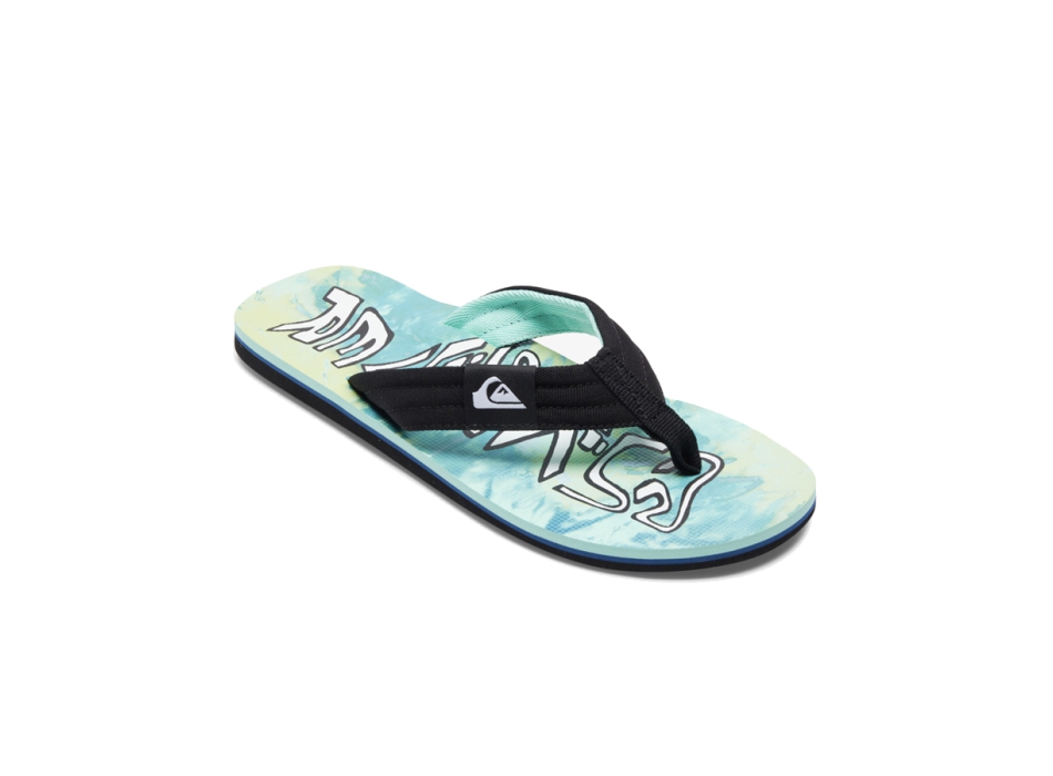 Quiksilver molokai layback flip flops top