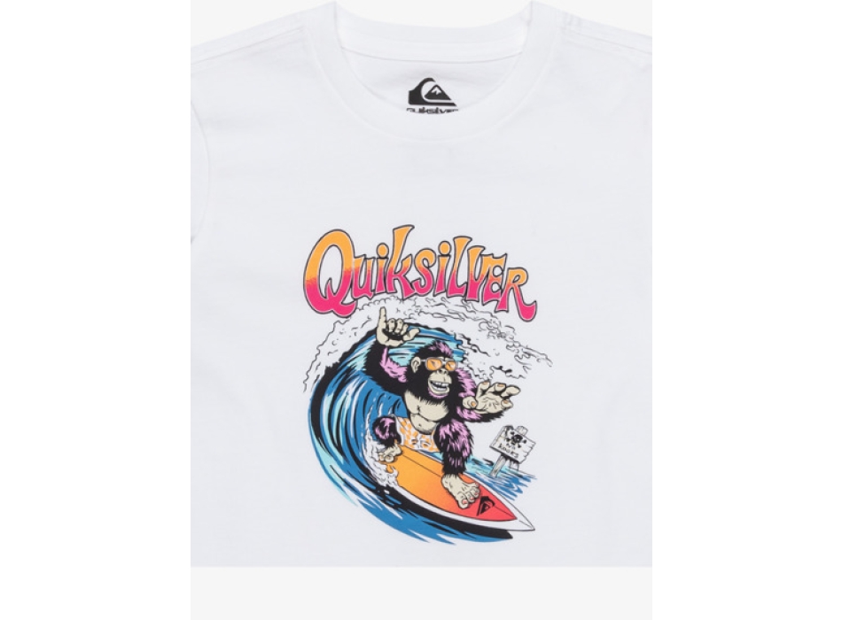 QUIKSILVER KONG STORY T-SHIRT BOYS 2-7