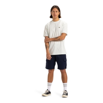 QUIKSILVER MW NEPS T-SHIRT SNOW WHITE