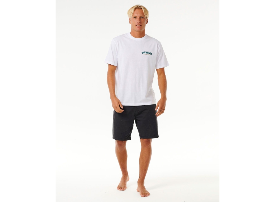 RIP CURL THE SPHINX SHORT SLEEVE TEE WASHED WHITE