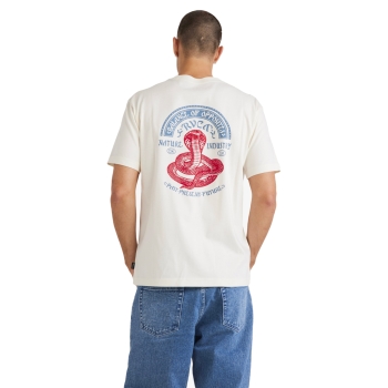 RVCA CHARMER T-SHIRT ANTIQUE WHITE