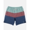 SALTY CREW BEACONS 2 PLUM ELASTIC BOARDSHORTS 18"