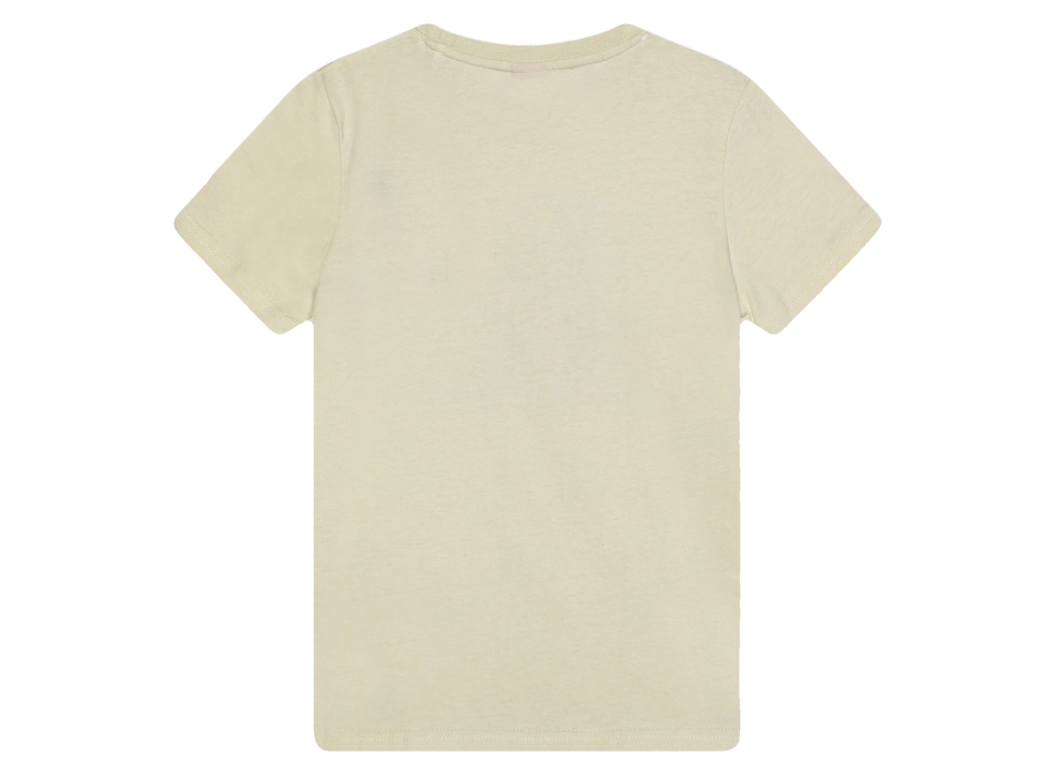 SANTA CRUZ SCREAMING WAVE FRONT T-SHIRT LIGHT GREY