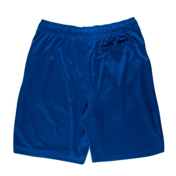 SANTA CRUZ SHORT OPUS DOT MESH BLUE SHORT BLUE