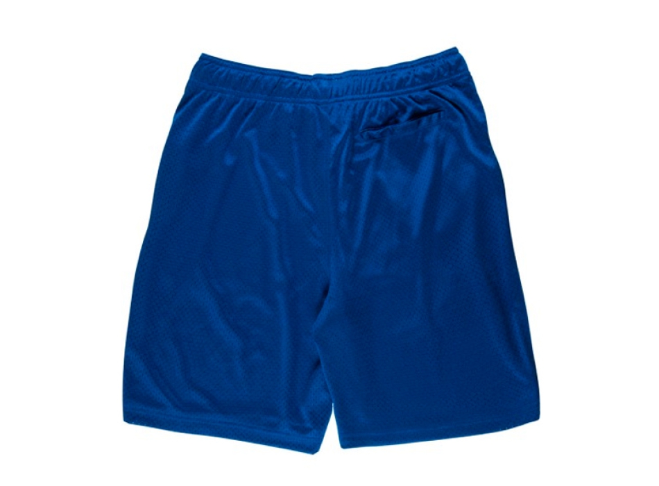 SANTA CRUZ SHORT OPUS DOT MESH BLUE SHORT BLUE