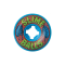 SANTA CRUZ SKATEBOARD WHEELS SKATE 53MM FLEA BALLS SPEED BALLS 99A BLUE