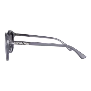 SANTA CRUZ WATSON SUNGLASSES FROSTED BLACK