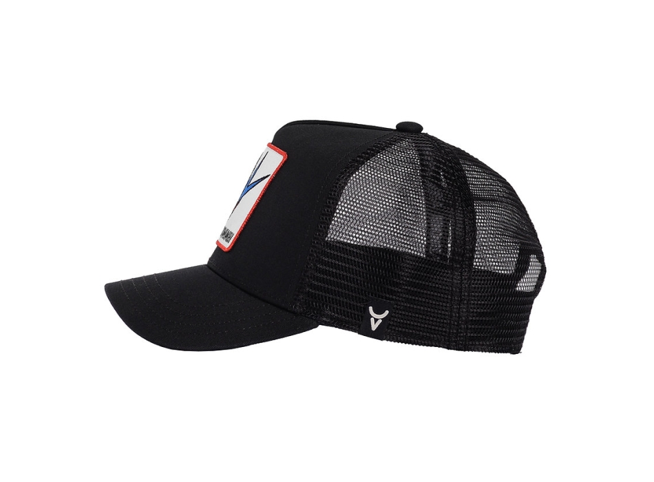 SUMOMIHI SWALLOW TRUCKER