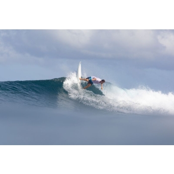 TORQ TET 5'11" - 7'2" FISH POP CORAL