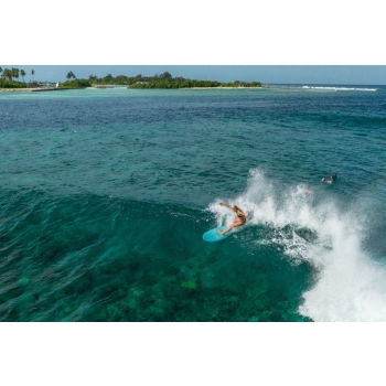 TORQ TET 5'11" - 7'2" FISH POP CORAL