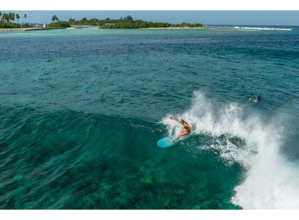 TORQ TET 5'11" - 7'2" FISH POP CORAL