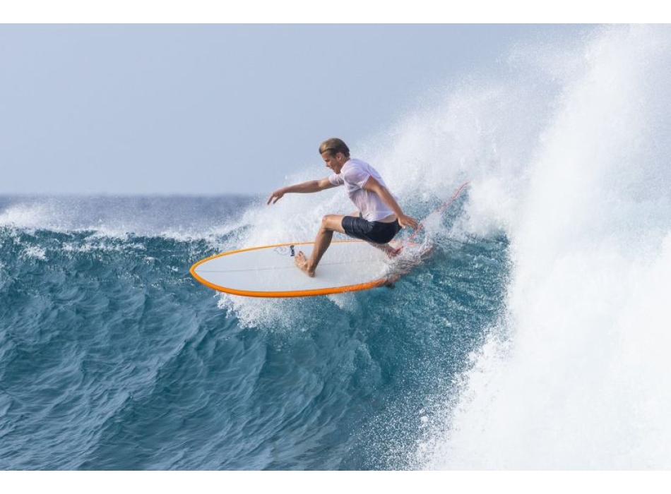 TORQ TET 5'11" - 7'2" FISH POP CORAL