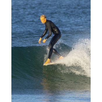 TORQ TET 8'6" LONGBOARD PINLINE DENIM BLUE