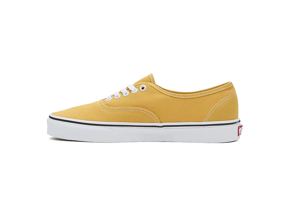 VANS COLOR THEORY AUTHENTIC SHOES