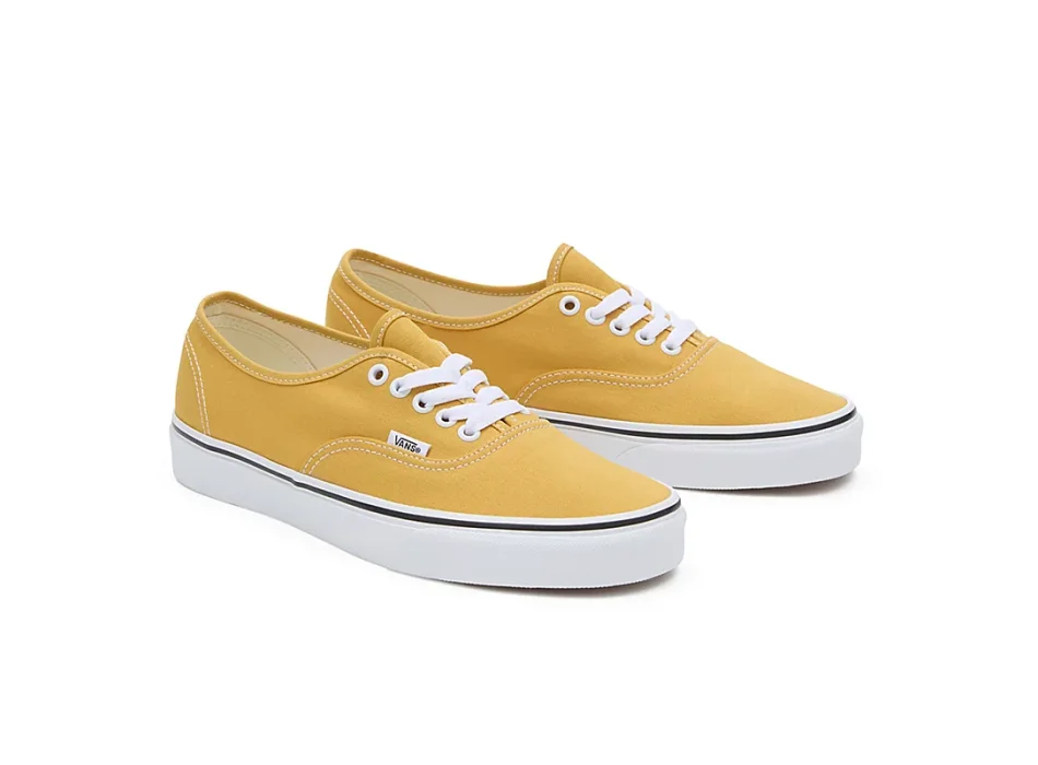 VANS COLOR THEORY AUTHENTIC SHOES